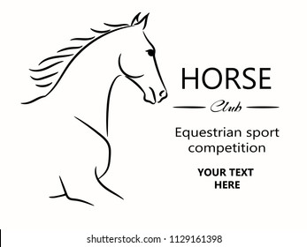 Horse head graphic logo template, vector illustration on white background. Stylish horse head outline for stable, farm, club race design. Running stallion for equestrian sport competition.
