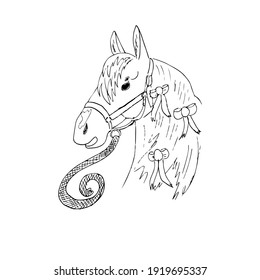 
Horse head with halter and cord, bows in the mane, long forelock. Ink horse face head