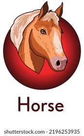 Horse head hand-drawn in doodle style, color illustration. Logo in vector. chinese horoscope. Vector illustration