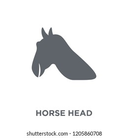 Horse Head icon. Horse Head design concept from American Indigenous Signals collection. Simple element vector illustration on white background.
