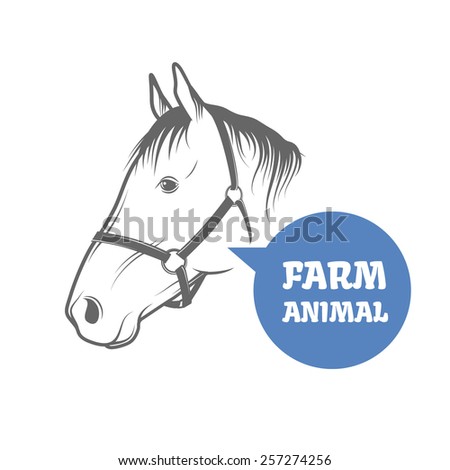 Horse head isolated on white background. Vector illustration