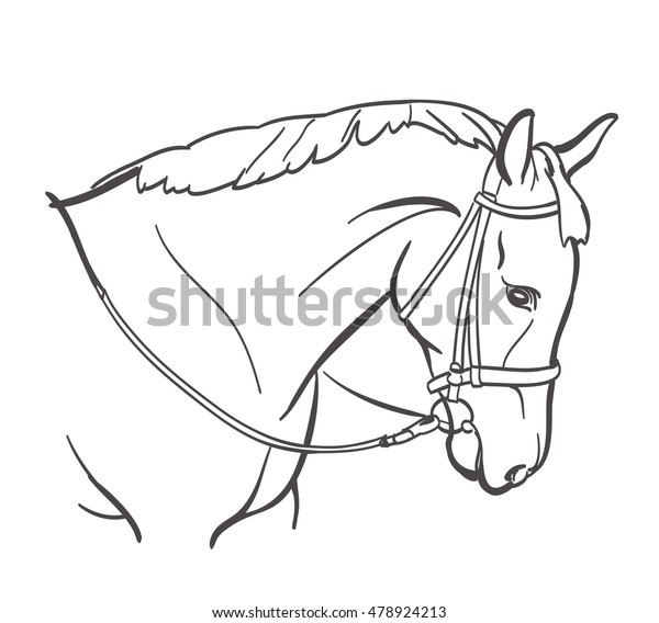 Horse Head Line Art Drawing Equestrian Stock Vector (Royalty Free ...