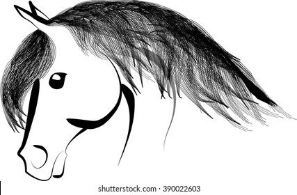 Horse head with long mane