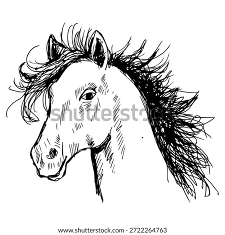 Horse head with long mane. Hand drawn vector illustration.