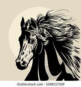 Horse head with a mane. Hand drawn vector illustration. Hand sketch. 