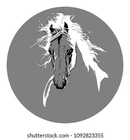 Horse head with a mane. Hand drawn vector illustration.