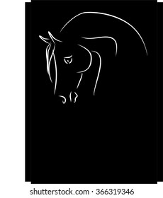 horse head on black background