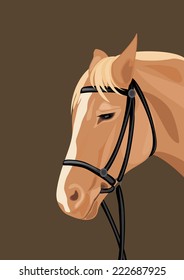 Horse head on the dark background. Vector