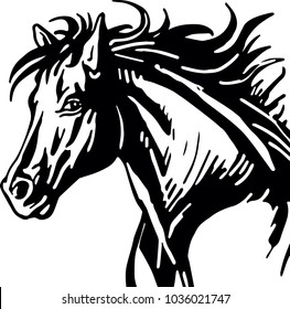horse head on white background