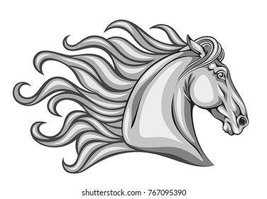 Horse head on a white background