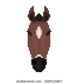 Horse head in pixel art style. Vector illustration.