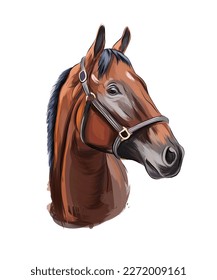 Horse head portrait from multicolored paints. Splash of watercolor, colored drawing, realistic. Vector illustration of paints