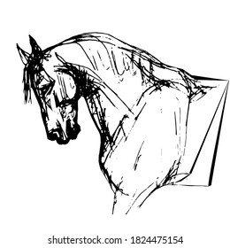 cabeza de caballo, retrato, esbozo, gráfico vectorial gráfico monocromo dibujar sobre fondo blanco
