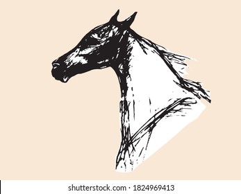 horse head, portrait, sketch, vector graphics monochrome  pen drawing on a colored background