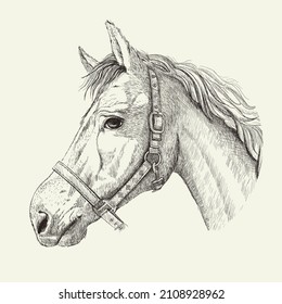 1,894 Horse profile sketch Images, Stock Photos & Vectors | Shutterstock