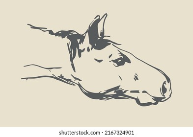 Horse head reaching down - side view