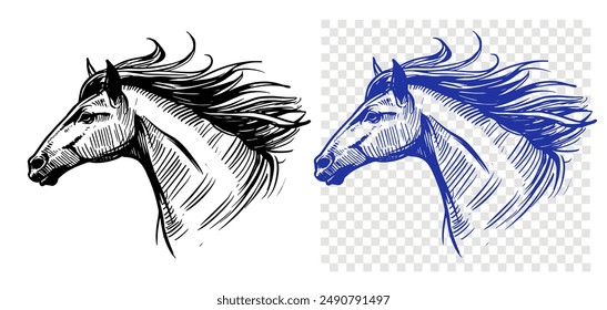 Horse head, realistic sketch, hand drawn vector illustration