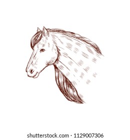 Horse head silhouette isolated on white background , grange hand drawn style. Sketchy mustang, vector stallion.