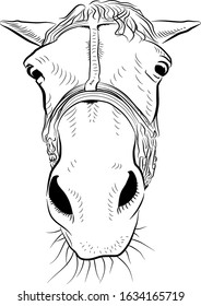 The horse head. Sketch art. A few sad emotion.