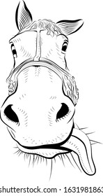 The horse head. Sketch art. Playful with big tongue.