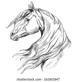 Featured image of post Drawings Of Horses Faces - Wild horse white horse horse show horse racing horse portrait quarter horse black horse arabian horse paint horse brown horse draft horse horse head sea horse.