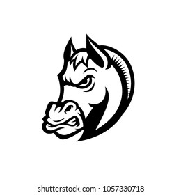 Horse head sports logo mascot