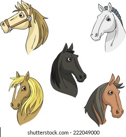 Horse Head Stallion Equine Collection Vector Illustration