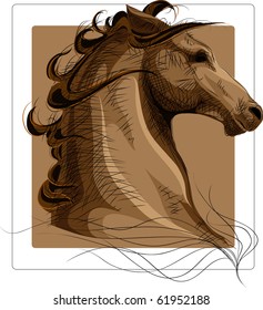 Horse head with strokes over color image