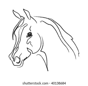 horse head vector