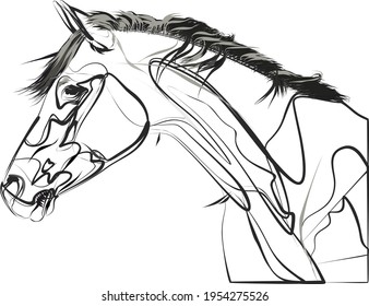 vector de cabeza de caballo dibujar negro