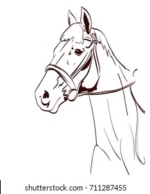 Horse Head Vector Illustration In Line Art Style. Equestrian Theme Drawing