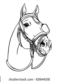 Horse head  (Vector illustration) on white background