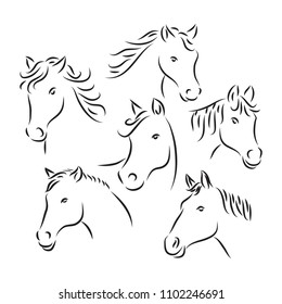 horse head vector line art style