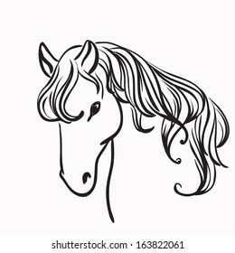 Horse head vector outline illustration on white background