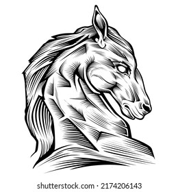 Horse head vector silhouette . horse head illustration . horse line art vector eps