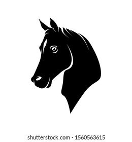 Horse head vector silhouettes. Black silhouette head horse, illustration of head wild stallion