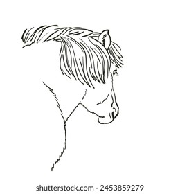 Vista de la cabeza del caballo desde el boceto del Vector trasero, ilustración de arte de línea dibujada a mano del Vector
