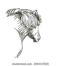 Horse head view from back vector sketch, Vector Hand drawn illustration