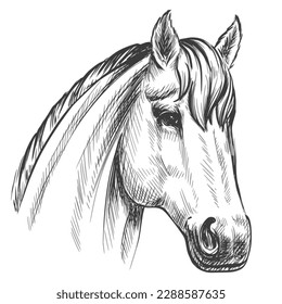 Horse face lineart Royalty Free Vector Image - VectorStock