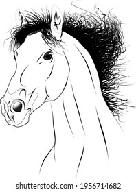 horse head white black vector animal
