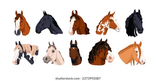 Caballos puestos. Diferentes razas de sementales. Especies de animales equinos tosados. Activa caras con hombres. Purebred appaloosa, shire, mustang. Ilustraciones vectoriales planas aisladas en fondo blanco