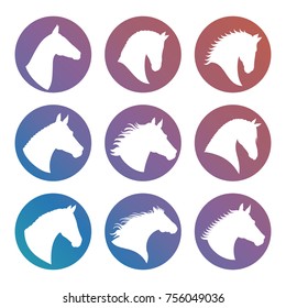 Horse heads white silhouettes in round icons set. Vector illustration