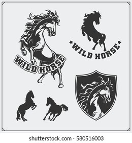 Horse Heraldry Coat Of Arms. Labels, Emblems And Design Elements For Sport Club.