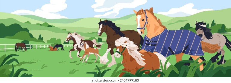 Horse herd at equine farm, ranch. Stallions group in nature, grassland, pasture. Thoroughbred animals grazing grass, walking, running outside. Rural countryside landscape. Flat vector illustration