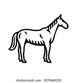 Horse icon. Black line vector isolated icon on white background. Vintage style.