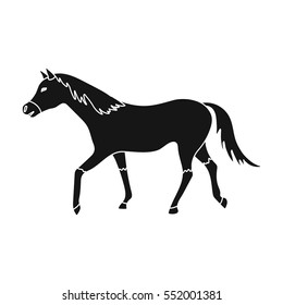 Horse icon in black style isolated on white background. Hippodrome and horse symbol stock vector illustration.