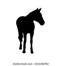 horse icon black and white