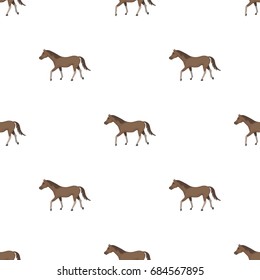 Horse icon in cartoon style isolated on white background. Hippodrome and horse symbol stock vector illustration.