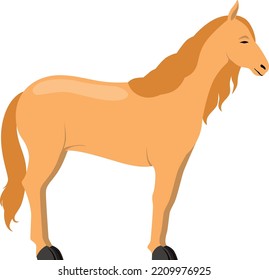 Horse icon. Farm animal. Domestic stallion standing