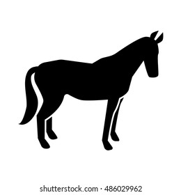 Horse icon illustration isolated vector sign symbol